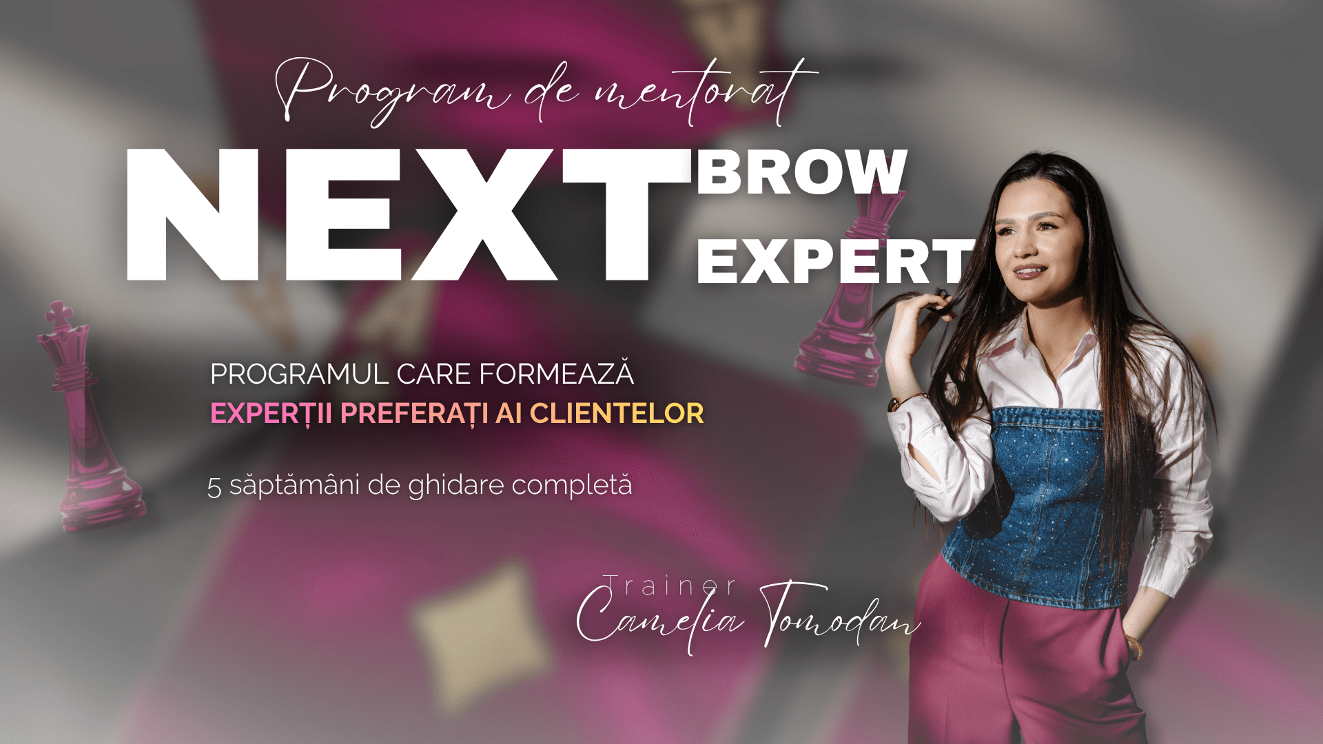 Mentorat Online Next Brow Expert